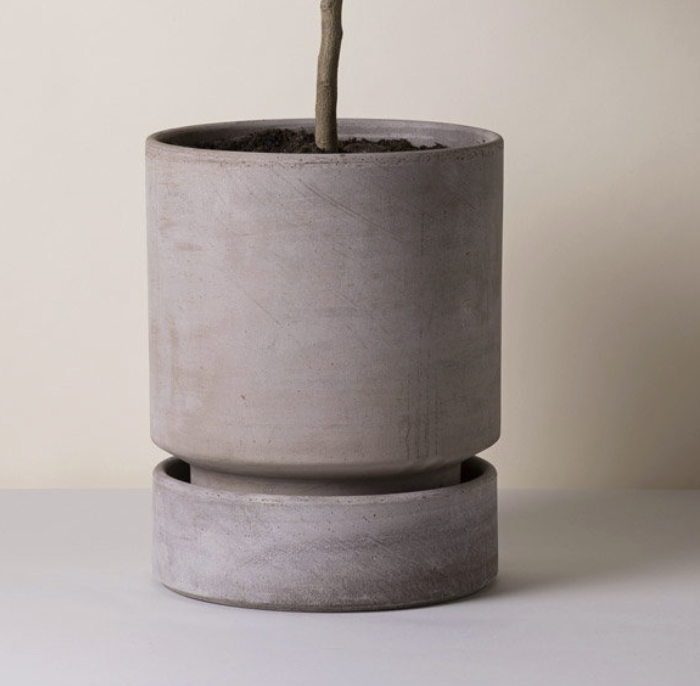 bergs hoff pot — the plant gays